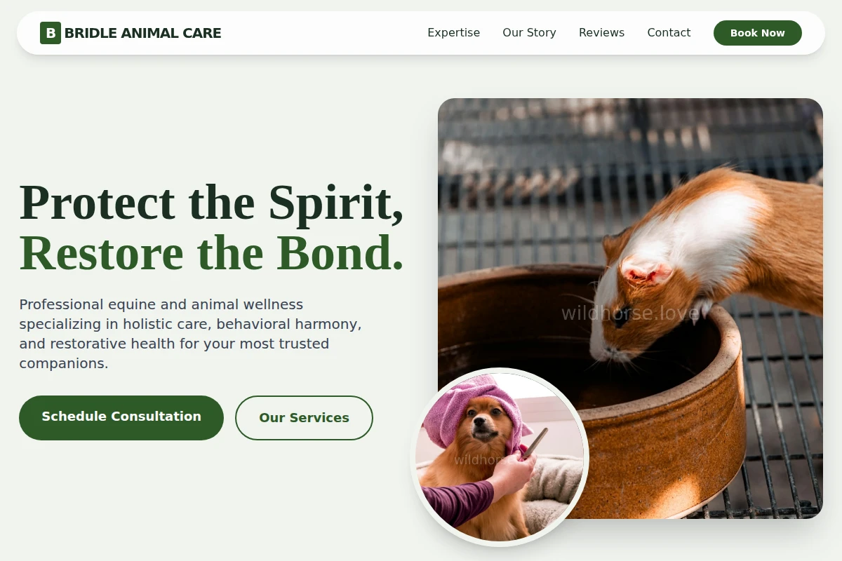 Bridle Animal Care