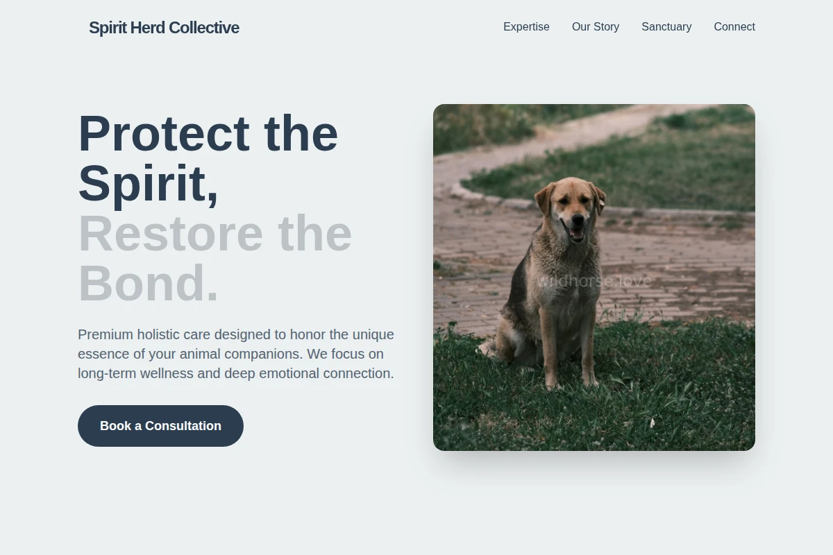Tail Animal Care