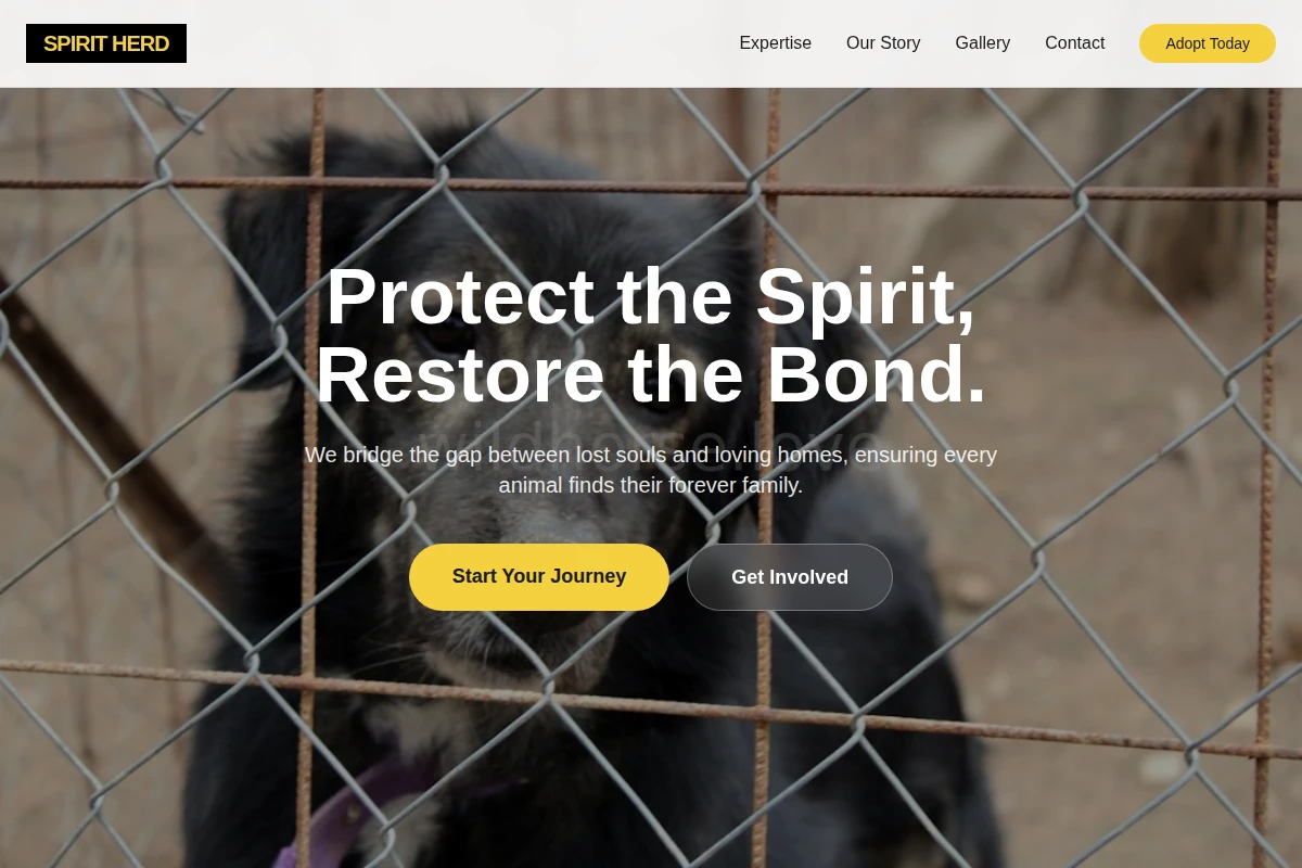 Valley Animal Shelter