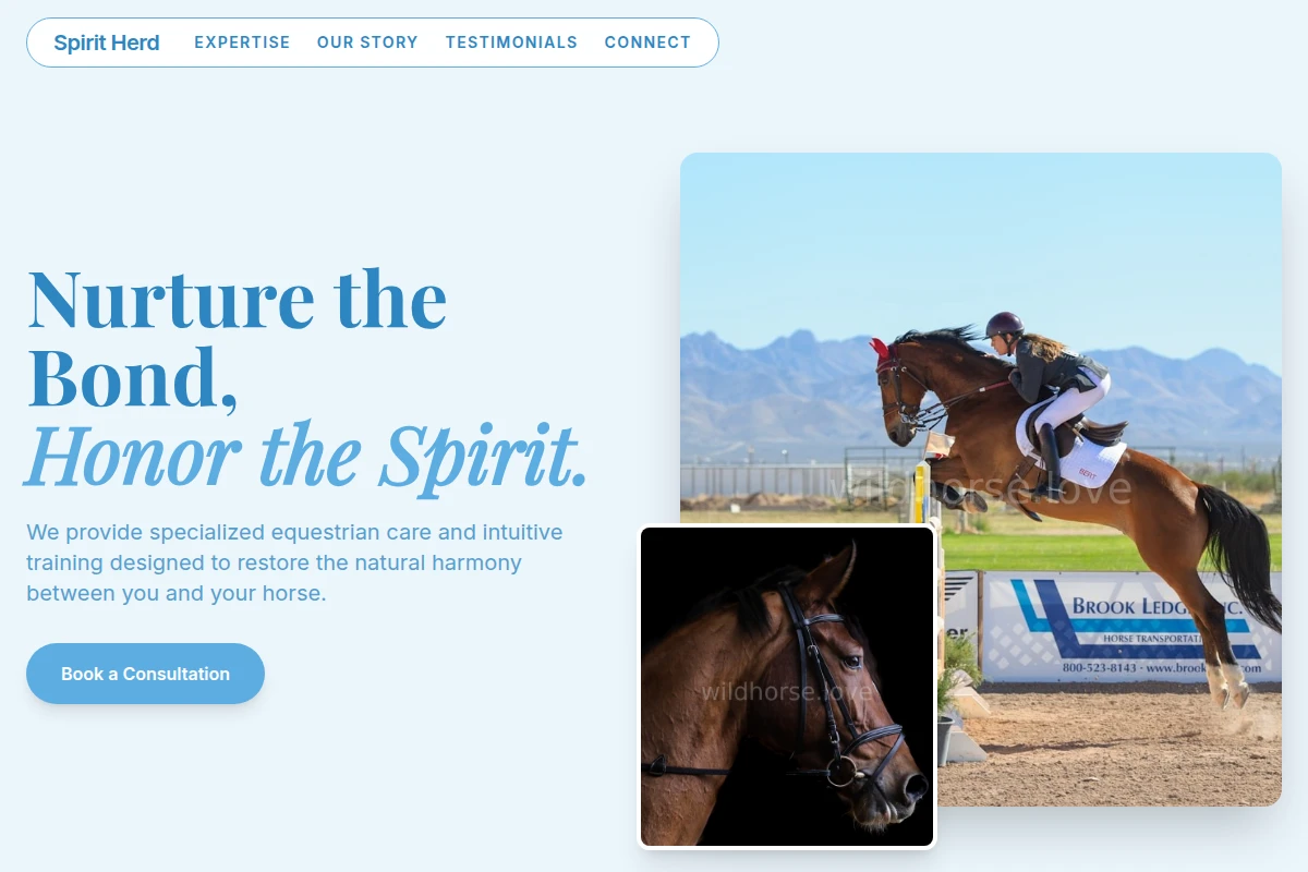 Equestrian Equestrian