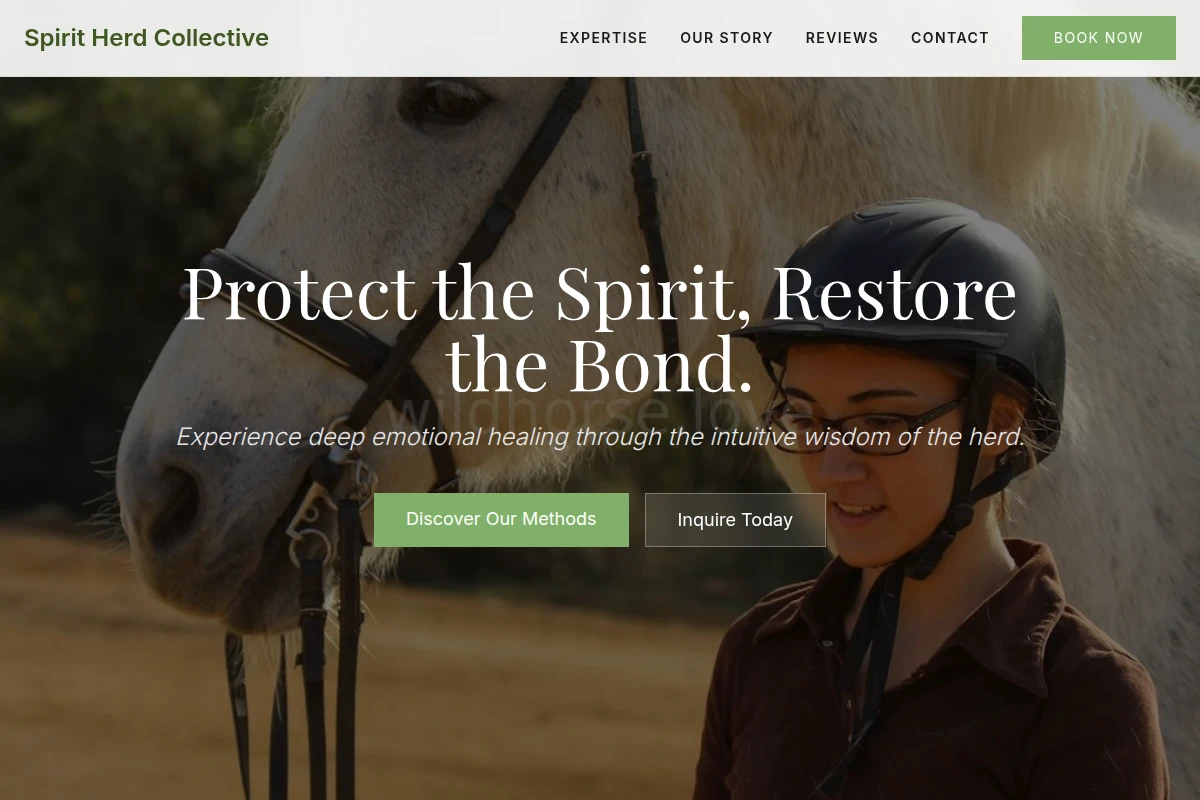 Paddock Equine Therapy