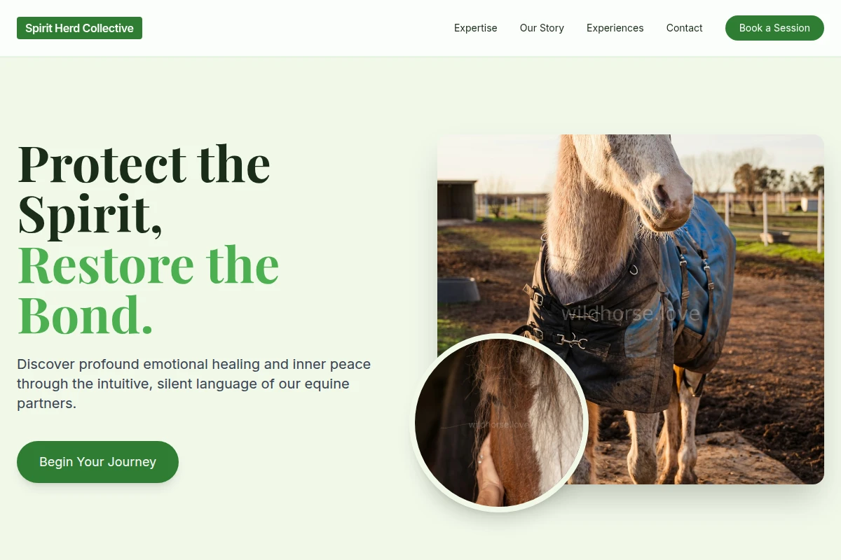 Trot Equine Therapy