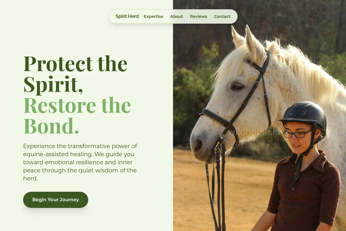 Therapy Equine Therapy